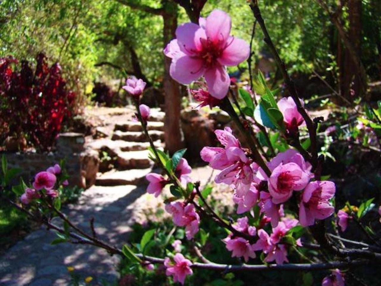 Las Chullpas Eco-Lodge Urubamba Exterior foto